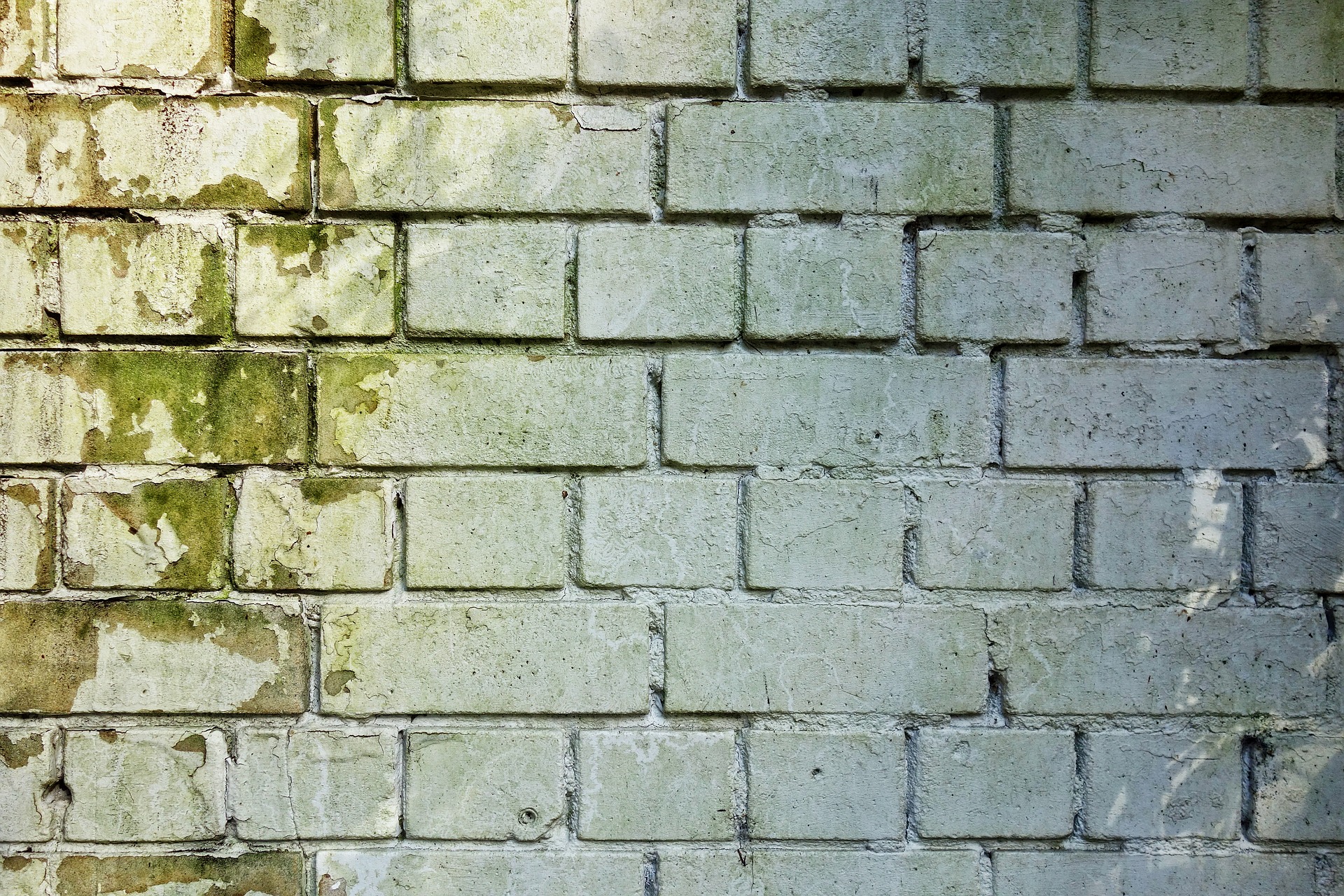 brick-wall-3194516_1920